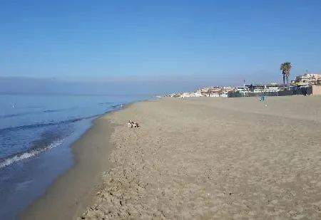 Magnolia - La Magnolia Sul Mare * Torvaianica